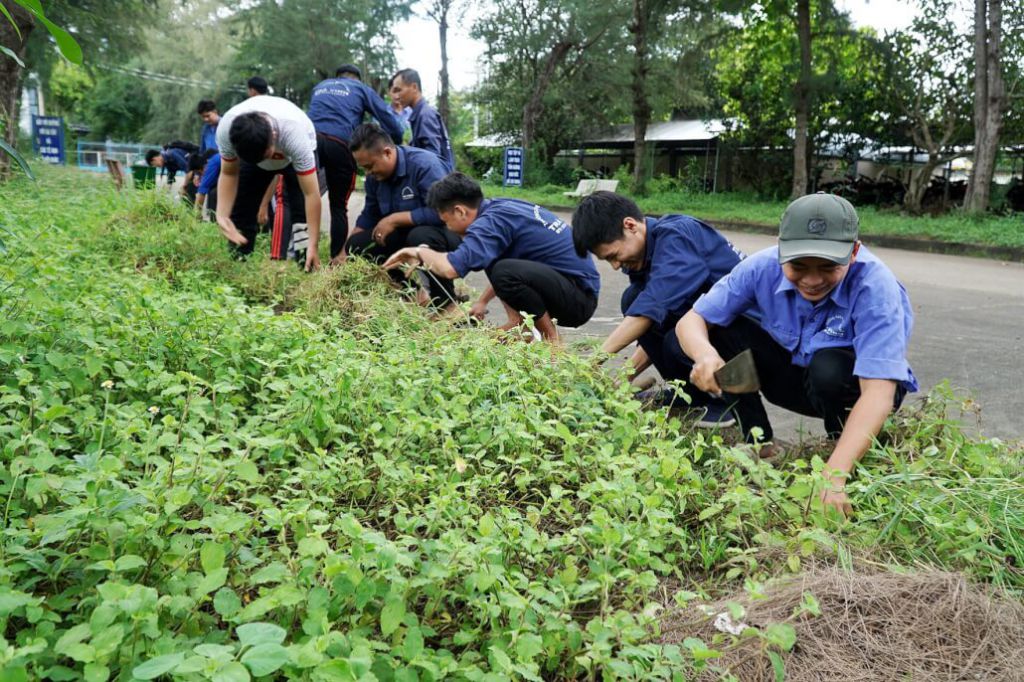 Tuổi trẻ Đoàn khối ra quân đồng loạt Ngày “Chủ nhật xanh” ngày 11/10/2020