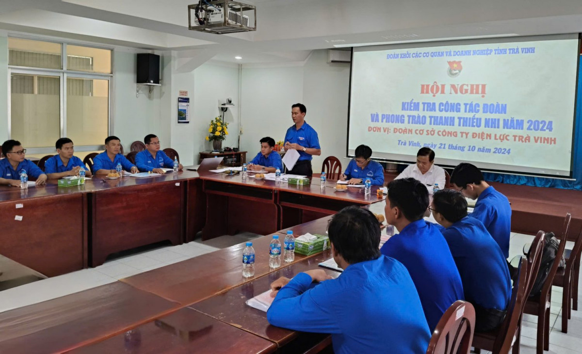 Hội nghị kiểm tra công tác đoàn và phong trào thanh thiếu nhi đối với các Đoàn cơ sở trực thuộc Đoàn khối năm 2024