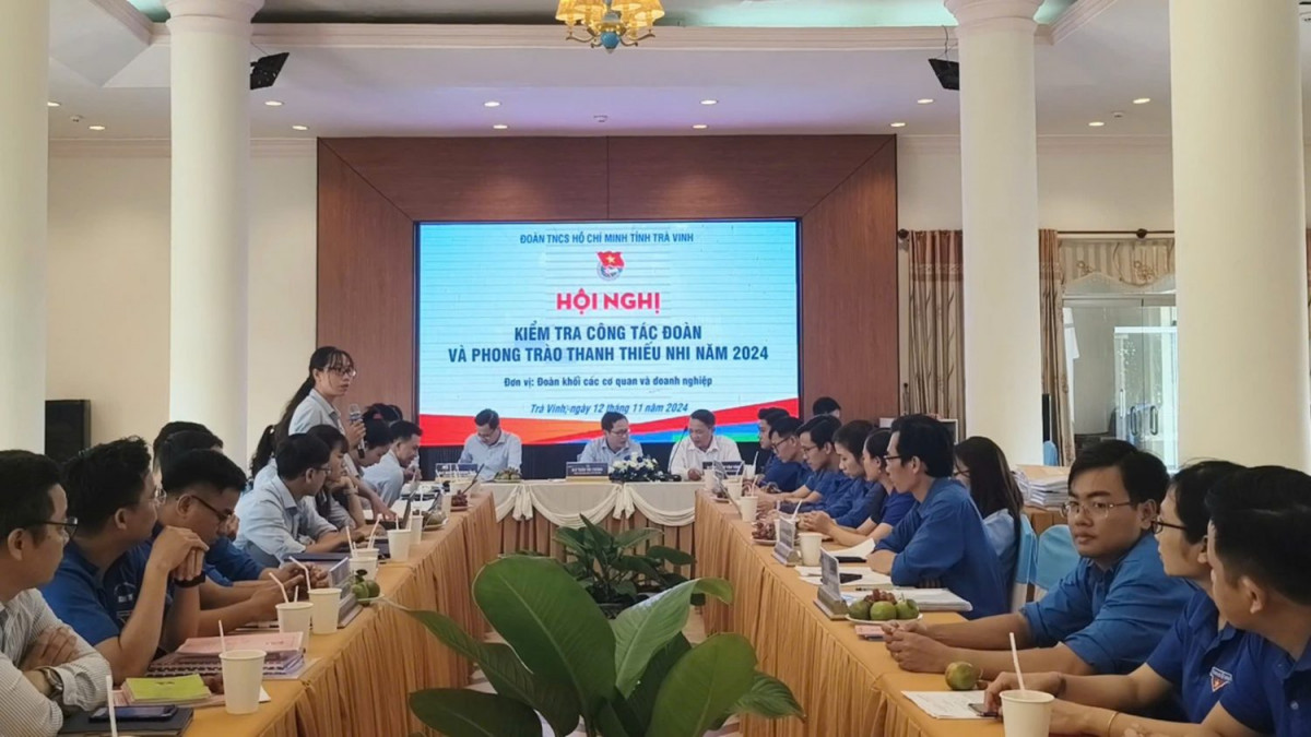 Hội nghị kiểm tra Công tác Đoàn và phong trào thanh thiếu nhi năm 2024